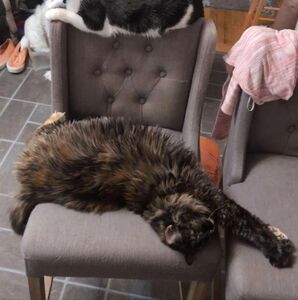 Meet your Posher, Drew